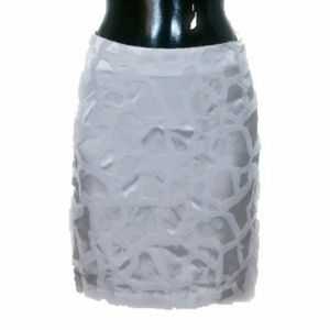 Topshop White Pencil Skirt.